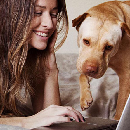femeie și câine care se uită la computer