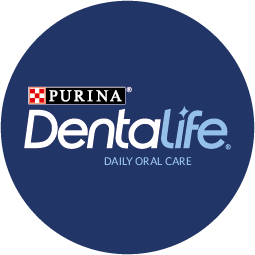 Dentalife