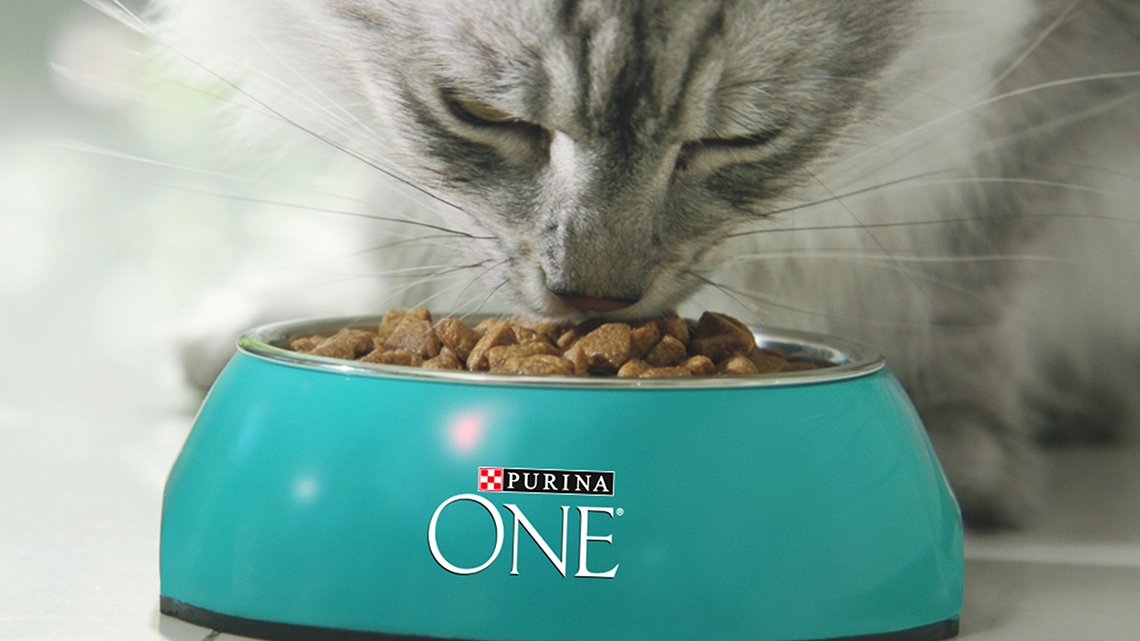 Purina One Dual Nature