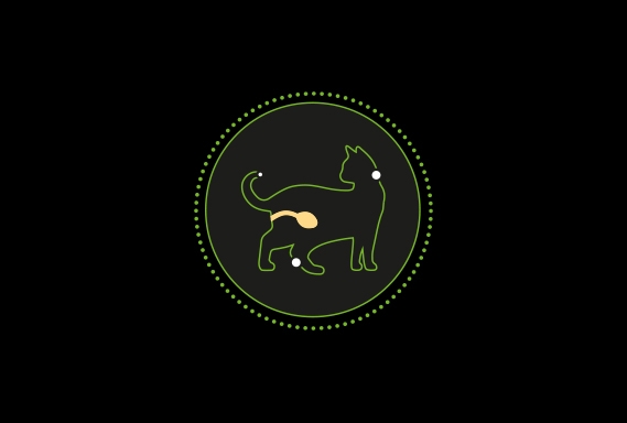 Icon 1