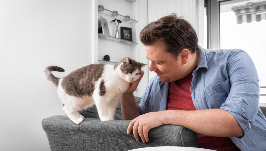 Un bărbat care își mângâie fața pisicii în timp ce aceasta stă pe brațul unei canapele
