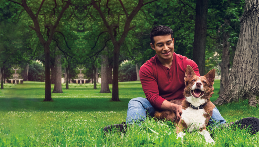 Omul stătea pe iarbă cu copaci cu câinele întins în fața lui