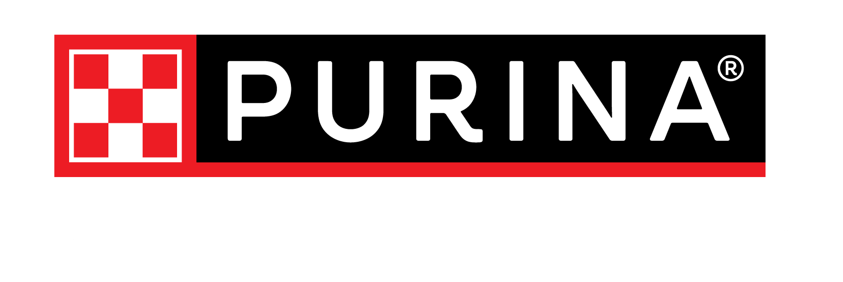 Pentru ei, toată pasiunea noastră