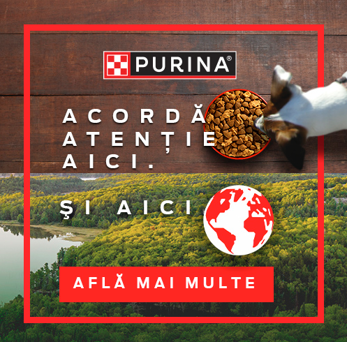 Purina are grijă