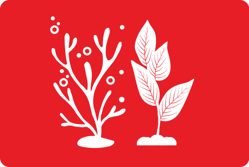 logo sustenabilitate cu plante albe pe fundal roșu