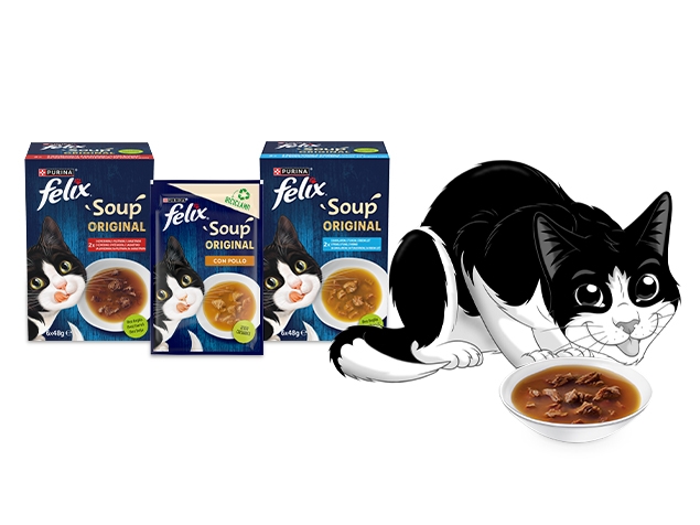 soup