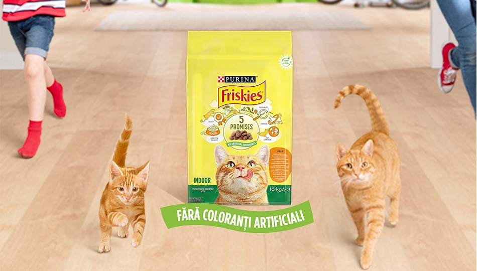 Friskies Adult