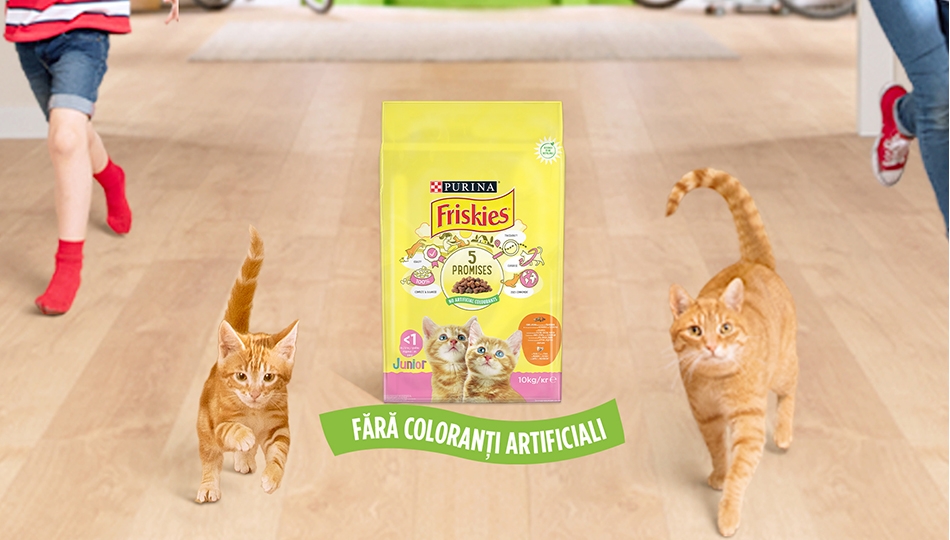 Friskies junior