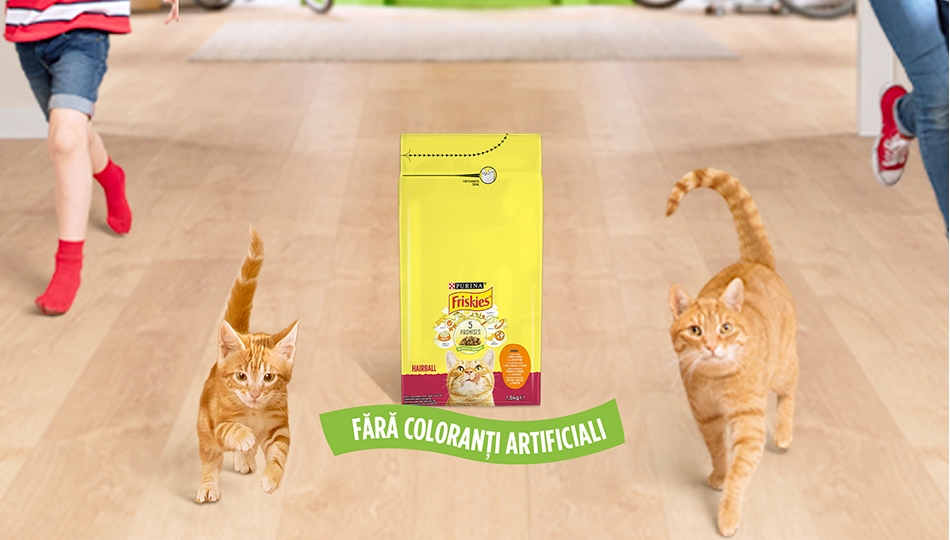 Friskies Adult