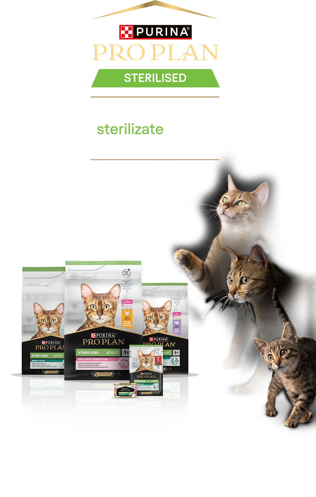 Purina PRO PLAN - hrana uscata pentru pisici sterilizate