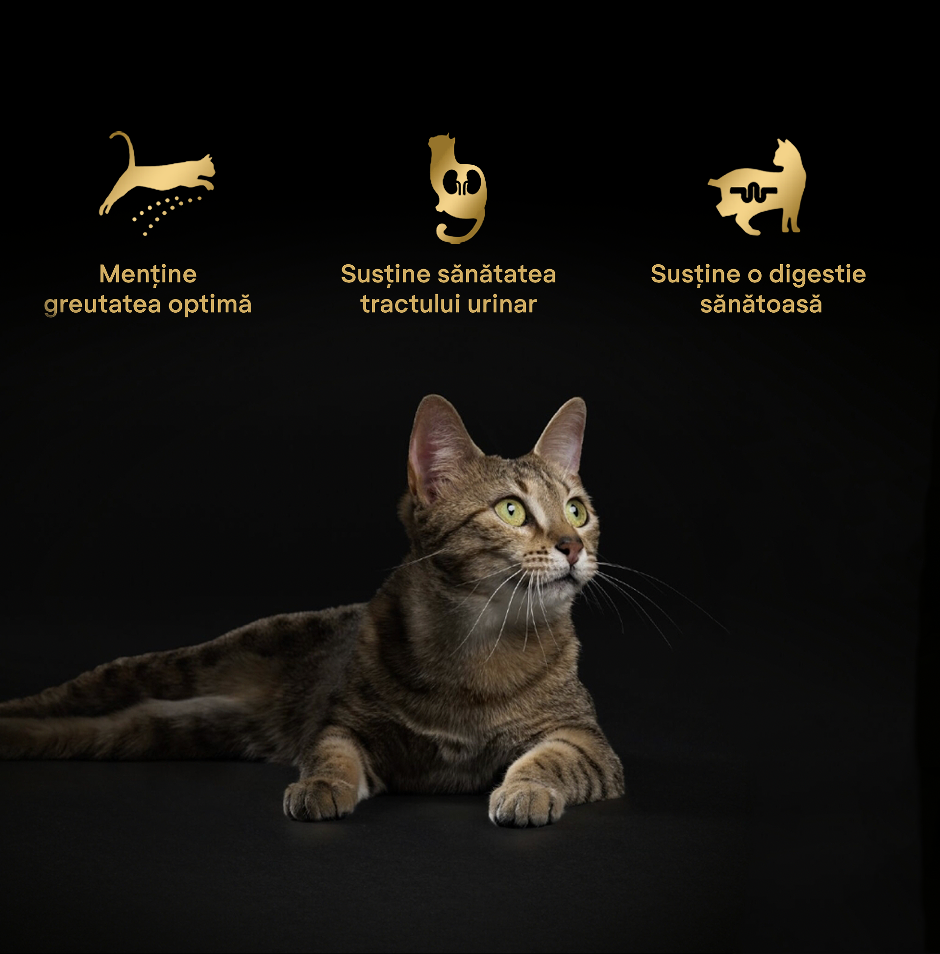 Purina PRO PLAN - hrana uscata pentru pisici sterilizate