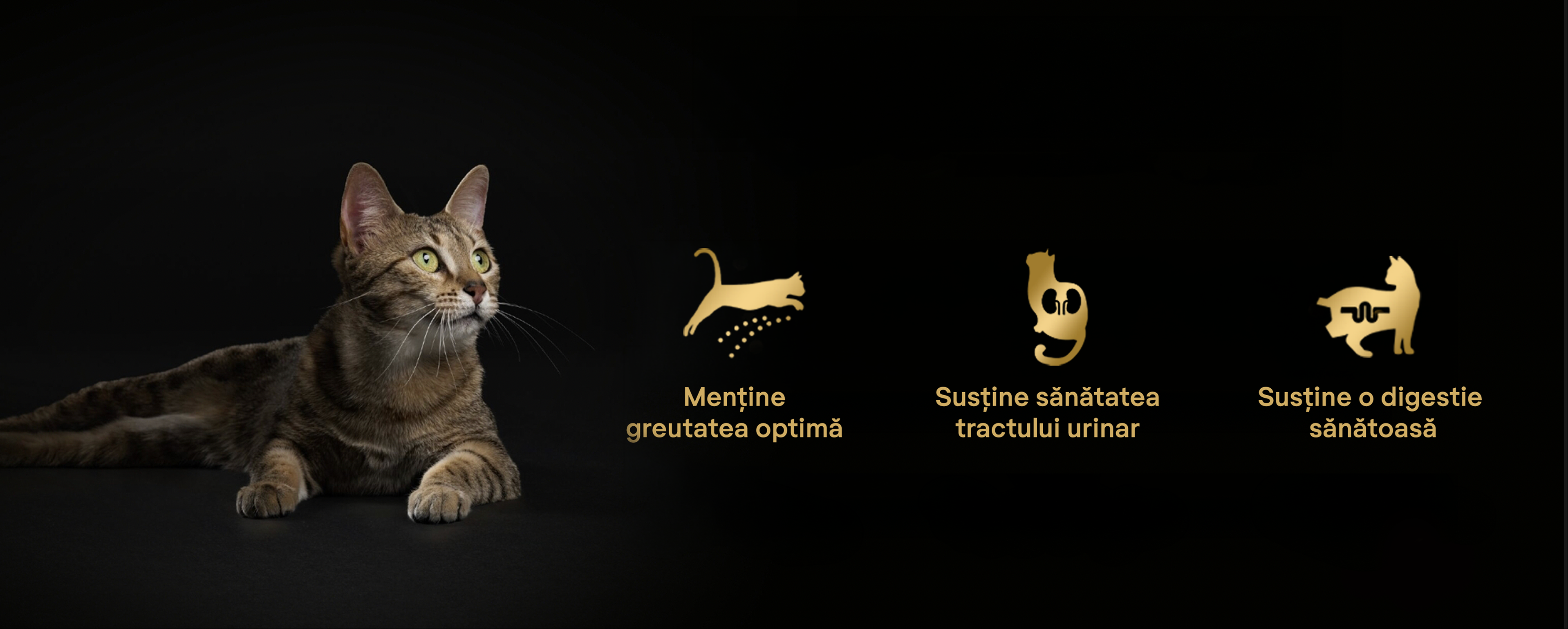 Purina PRO PLAN - hrana pentru pisici sterilizate
