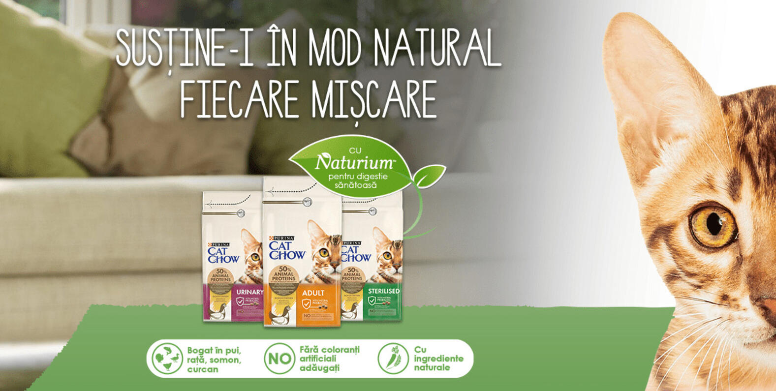 Cat Chow®