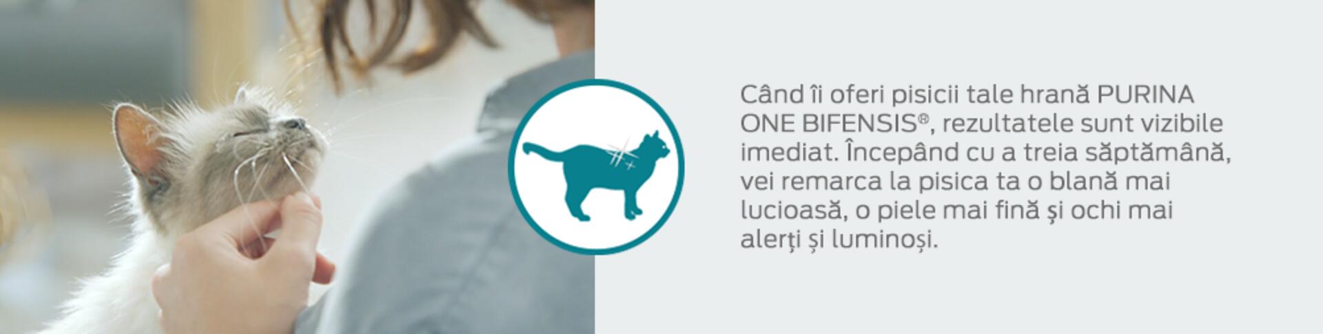 Blană lucioasă
