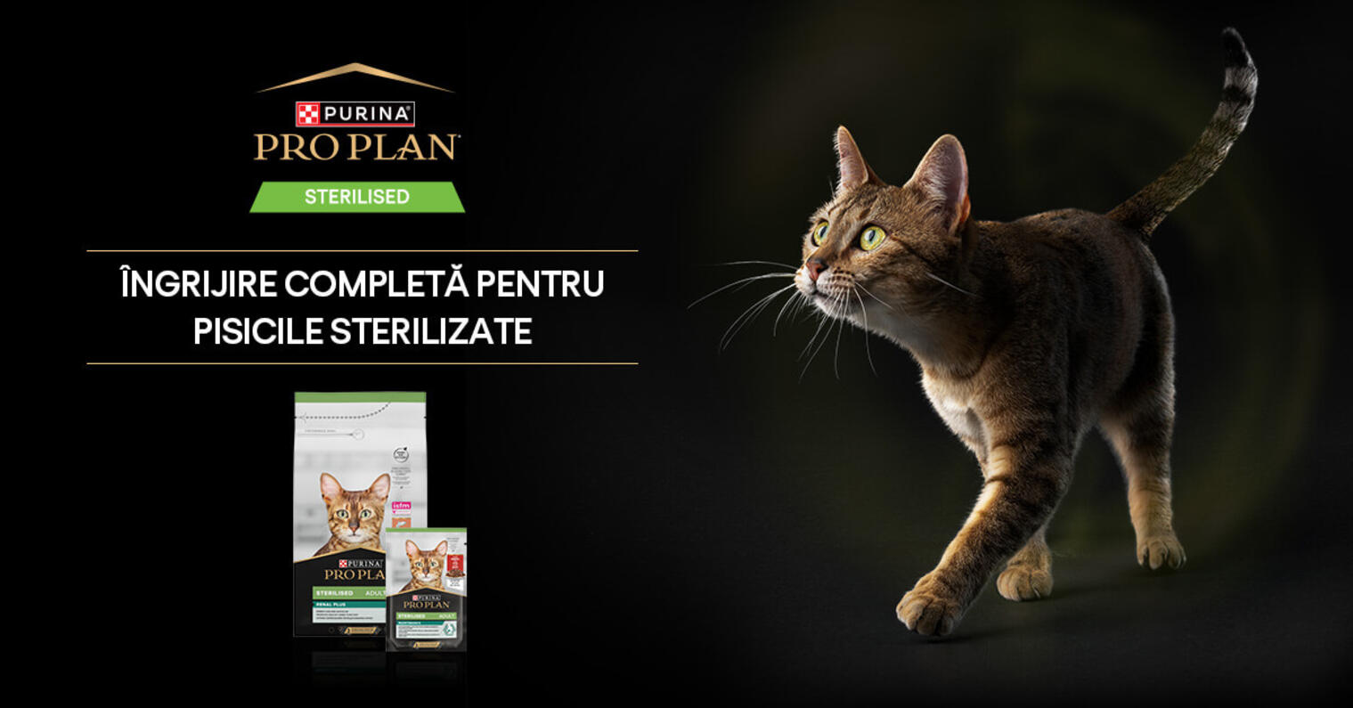 Sterilizarea pisicilor
