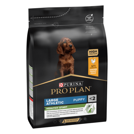PURINA PRO PLAN PUPPY Healthy Start hrana uscata caini Talie Mare Atletica bogat in pui