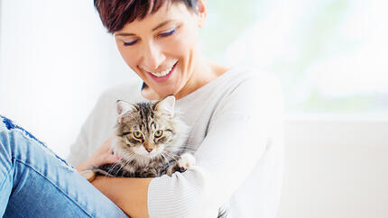 Ghid pentru pensiuni și servicii de cat-sitting 