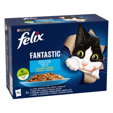 felix fantastic