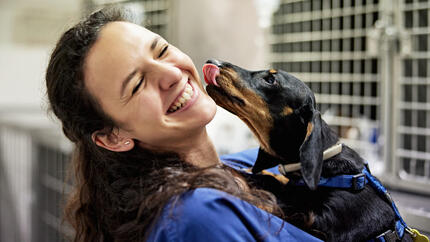 Caine la vaccin in cabinetul veterinar