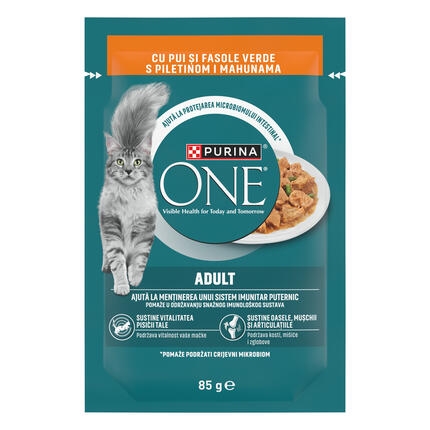 Purina One