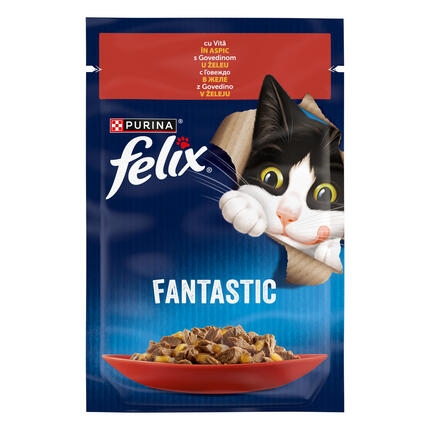 felix fantastic vita
