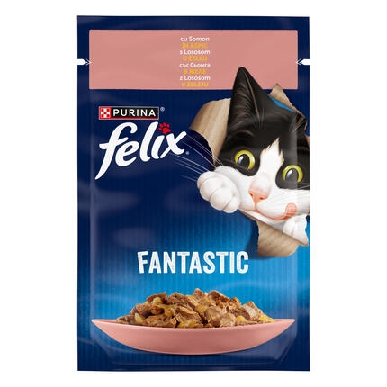 felix fantastic somon
