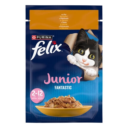 felix fantastic junior