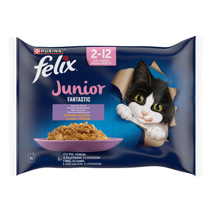 felix fantastic junior
