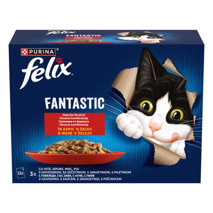 felix fantastic vita
