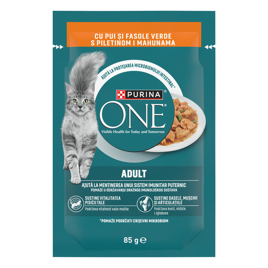 Purina One