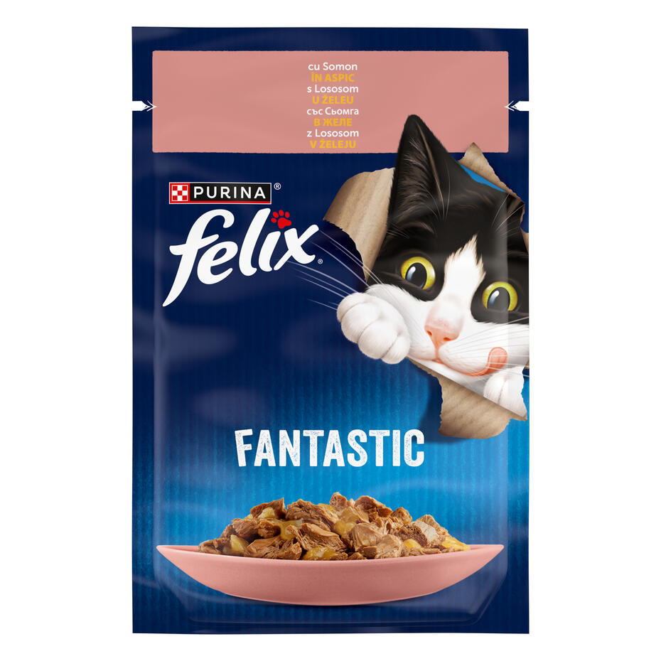 felix fantastic somon