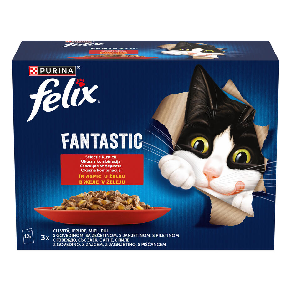 felix fantastic vita