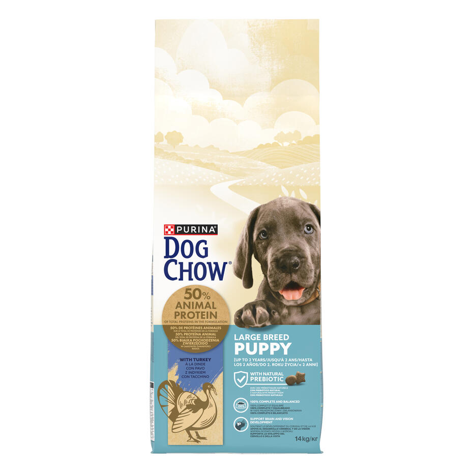 dog chow