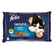 Felix Fantastic Somon si Platica