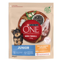 ONE Mini Dog Junior