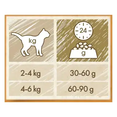 CAT CHOW ADULT Pui hrana uscata pisici adulte