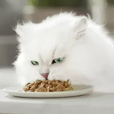 GOURMET PERLE Pui