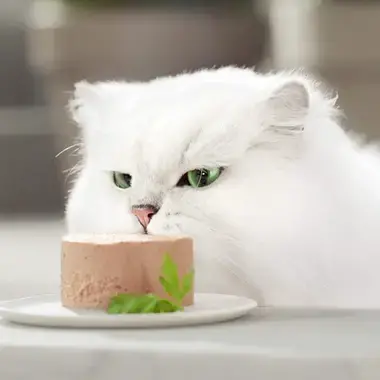 GOURMET GOLD Mousse cu Ton