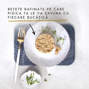 GOURMET GOLD Savoury Cake cu Pui și Morcov