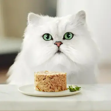 GOURMET GOLD Savoury Cake cu Pui și Morcov