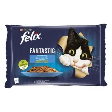 Felix Fantastic Somon si Platica