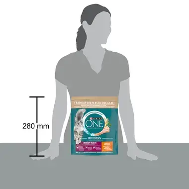 PURINA ONE® URINARY CARE, Cu conținut bogat în Pui și Grâu, hrană uscată pentru pisici