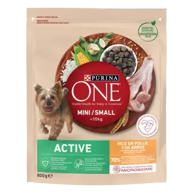 PURINA ONE MINI Active cu Pui si Orez