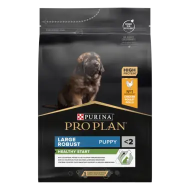 PURINA PRO PLAN PUPPY Healthy Start hrana uscata caini junior Talie Mare Robusta bogat in pui