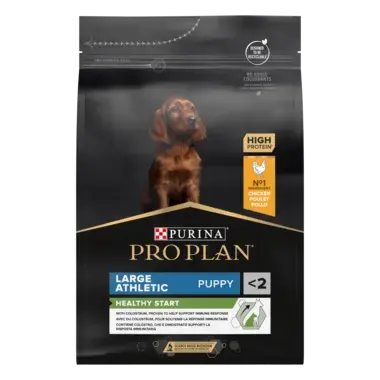 PURINA PRO PLAN PUPPY Healthy Start hrana uscata caini Talie Mare Atletica bogat in pui