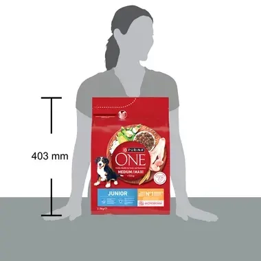 Hrana caini juniori cu ingrediente esentiale pentru o dezvoltare optima.