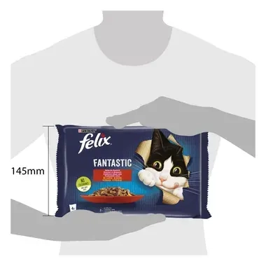 felix fantastic