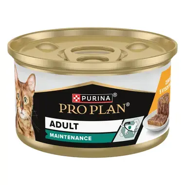 PRO PLAN ADULT