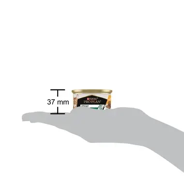 PRO PLAN ADULT