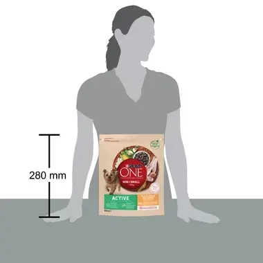 Purina